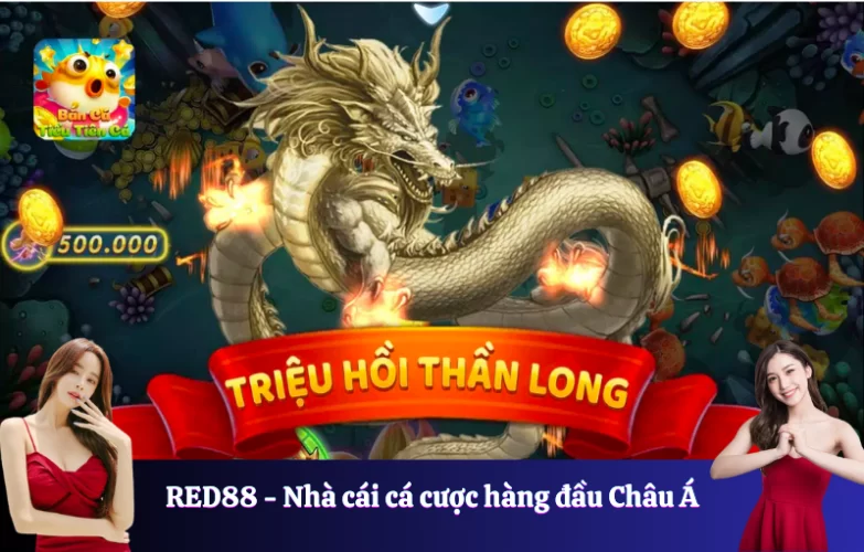 Kinh nghiệm chơi Bắn cá Tiểu Tiên Cá