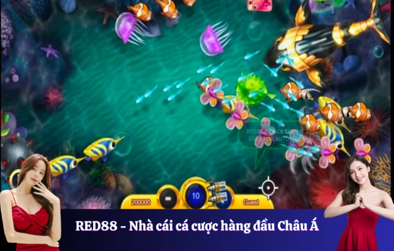 chiến thuật bắn cá