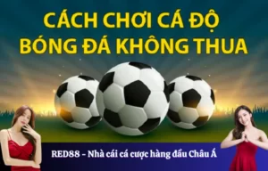 Tổng quan về cá cược bóng đá