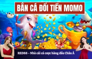 Đôi nét về Bắn cá đổi tiền Momo