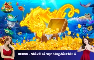 hướng dẫn cách bắn cá cho người mới